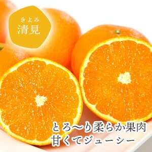 【2026年4月上旬出荷】果汁たっぷり ジューシー清見5kg(訳あり)【D25-138】【1138006】