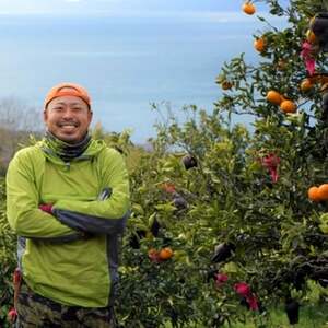 八幡浜産・不知火5kg[数量限定!]【D56-13】【1139909】