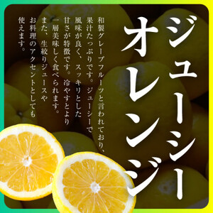 三代目の河内晩柑7kg(家庭用)【C31-30】【配送不可地域：離島】【1232986】