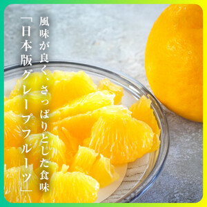 三代目の河内晩柑7kg(家庭用)【C31-30】【配送不可地域：離島】【1232986】