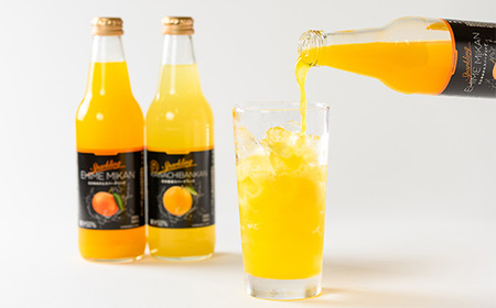 小林果園の柑橘スパークリングジュースセット(2品種・計6本)【C24-28】【1233619】