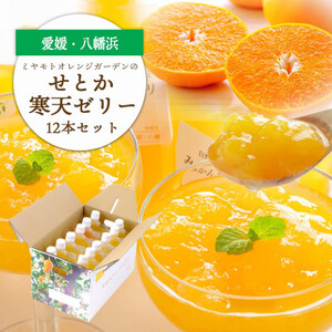 愛媛の高級柑橘 せとか寒天ゼリー12個セット【D25-19】【1255528】