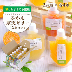 愛媛の人気柑橘を厳選!旬のおすすめ みかん寒天ゼリー12本セット(3種×各4本)【D25-14】【1255533】 4,200円