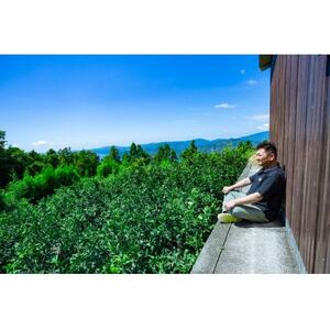 【無添加】玉宝みかんジュース(720ml×12本)【H64-6】【1304930】