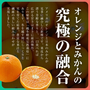 三代目がつくる高品質【きよみ】5kg【D31-9】【1354165】