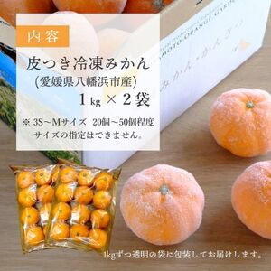 ミヤモトオレンジガーデンの皮つき冷凍みかん2kg【C25-105】【配送不可地域：離島】【1412383】