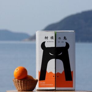 八幡浜産・清見タンゴール10kg【訳あり】【C56-41】【配送不可地域:離島】【1479307】