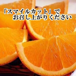 柑橘の大トロ!「せとか」約3.5キロ　限定250個【訳あり品・家庭向け】【C39-51】_美味しいみかん 美味しいミカン おいしいみかん おいしいミカン 人気のみかん 人気のミカン 国産みかん 国産ミカン 八幡浜みかん 八幡浜ミカン 甘いみかん 甘いミカン あまいみかん アマイミカン 果物みかん くだものみかん 果物ミカン クダモノミカン 美味しいせとか 美味しいセトカ おいしいせとか おいしいセトカ 人気のせとか 人気のセトカ 国産せとか 国産セトカ 八幡浜せとか 八幡浜セトカ 甘いせとか 甘いセトカ あまいせとか アマイセトカ 果物せとか くだものせとか 果物セトカ クダモノセトカ 美味しい柑橘 美味しいカンキツ おいしい柑橘 おいしいカンキツ 人気の柑橘 人気のカンキツ 国産柑橘 国産カンキツ 八幡浜柑橘 八幡浜カンキツ 甘い柑橘 甘いカンキツ あまい柑橘 アマイカンキツ 果物柑橘 くだもの柑橘 果物カンキツ クダモノカンキツ_【配送不可地域：離島】【1491413】