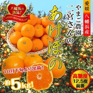 やまご農園 高糖度みかん!「あけぼの」【C39-11】【配送不可地域：離島】【1491797】