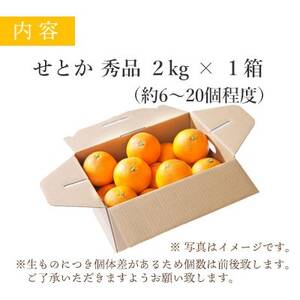 【2025年2月以降発送】とろける濃厚果肉 せとか2kg 愛媛県八幡浜産【C25-37】_美味しいみかん 美味しいミカン おいしいみかん おいしいミカン 人気のみかん 人気のミカン 国産みかん 国産ミカン 八幡浜みかん 八幡浜ミカン 甘いみかん 甘いミカン あまいみかん アマイミカン 果物みかん くだものみかん 果物ミカン クダモノミカン 美味しいせとか 美味しいセトカ おいしいせとか おいしいセトカ 人気のせとか 人気のセトカ 国産せとか 国産セトカ 八幡浜せとか 八幡浜セトカ 甘いせとか 甘いセトカ あまいせとか アマイセトカ 果物せとか くだものせとか 果物セトカ クダモノセトカ 美味しい柑橘 美味しいカンキツ おいしい柑橘 おいしいカンキツ 人気の柑橘 人気のカンキツ 国産柑橘 国産カンキツ 八幡浜柑橘 八幡浜カンキツ 甘い柑橘 甘いカンキツ あまい柑橘 アマイカンキツ 果物柑橘 くだもの柑橘 果物カンキツ クダモノカンキツ 美味しい愛媛 _【1044414】