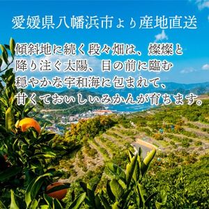 【2025年2月以降発送】とろける濃厚果肉 せとか2kg 愛媛県八幡浜産【C25-37】_美味しいみかん 美味しいミカン おいしいみかん おいしいミカン 人気のみかん 人気のミカン 国産みかん 国産ミカン 八幡浜みかん 八幡浜ミカン 甘いみかん 甘いミカン あまいみかん アマイミカン 果物みかん くだものみかん 果物ミカン クダモノミカン 美味しいせとか 美味しいセトカ おいしいせとか おいしいセトカ 人気のせとか 人気のセトカ 国産せとか 国産セトカ 八幡浜せとか 八幡浜セトカ 甘いせとか 甘いセトカ あまいせとか アマイセトカ 果物せとか くだものせとか 果物セトカ クダモノセトカ 美味しい柑橘 美味しいカンキツ おいしい柑橘 おいしいカンキツ 人気の柑橘 人気のカンキツ 国産柑橘 国産カンキツ 八幡浜柑橘 八幡浜カンキツ 甘い柑橘 甘いカンキツ あまい柑橘 アマイカンキツ 果物柑橘 くだもの柑橘 果物カンキツ クダモノカンキツ 美味しい愛媛 _【1044414】