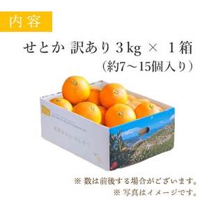 【2025年2月以降発送】とろける濃厚柑橘 せとか3kg 愛媛県八幡浜産【訳あり】【C25-134】_美味しいみかん 美味しいミカン おいしいみかん おいしいミカン 人気のみかん 人気のミカン 国産みかん 国産ミカン 八幡浜みかん 八幡浜ミカン 甘いみかん 甘いミカン あまいみかん アマイミカン 果物みかん くだものみかん 果物ミカン クダモノミカン 美味しいせとか 美味しいセトカ おいしいせとか おいしいセトカ 人気のせとか 人気のセトカ 国産せとか 国産セトカ 八幡浜せとか 八幡浜セトカ 甘いせとか 甘いセトカ あまいせとか アマイセトカ 果物せとか くだものせとか 果物セトカ クダモノセトカ 美味しい柑橘 美味しいカンキツ おいしい柑橘 おいしいカンキツ 人気の柑橘 人気のカンキツ 国産柑橘 国産カンキツ 八幡浜柑橘 八幡浜カンキツ 甘い柑橘 甘いカンキツ あまい柑橘 アマイカンキツ 果物柑橘 くだもの柑橘 果物カンキツ クダモノカンキツ 美味しい愛媛 _【1128816】