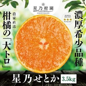 星乃みかん園の星乃せとか(3.5kg)【E45-43】_美味しいみかん 美味しいミカン おいしいみかん おいしいミカン 人気のみかん 人気のミカン 国産みかん 国産ミカン 八幡浜みかん 八幡浜ミカン 甘いみかん 甘いミカン あまいみかん アマイミカン 果物みかん くだものみかん 果物ミカン クダモノミカン 美味しいせとか 美味しいセトカ おいしいせとか おいしいセトカ 人気のせとか 人気のセトカ 国産せとか 国産セトカ 八幡浜せとか 八幡浜セトカ 甘いせとか 甘いセトカ あまいせとか アマイセトカ 果物せとか くだものせとか 果物セトカ クダモノセトカ 美味しい柑橘 美味しいカンキツ おいしい柑橘 おいしいカンキツ 人気の柑橘 人気のカンキツ 国産柑橘 国産カンキツ 八幡浜柑橘 八幡浜カンキツ 甘い柑橘 甘いカンキツ あまい柑橘 アマイカンキツ 果物柑橘 くだもの柑橘 果物カンキツ クダモノカンキツ 美味しい愛媛 _【1339332】