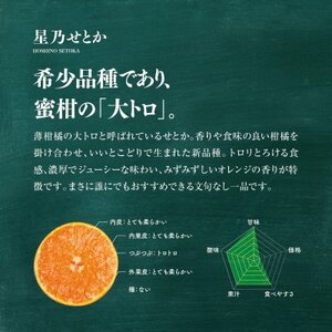 星乃みかん園の星乃せとか(3.5kg)【E45-43】_美味しいみかん 美味しいミカン おいしいみかん おいしいミカン 人気のみかん 人気のミカン 国産みかん 国産ミカン 八幡浜みかん 八幡浜ミカン 甘いみかん 甘いミカン あまいみかん アマイミカン 果物みかん くだものみかん 果物ミカン クダモノミカン 美味しいせとか 美味しいセトカ おいしいせとか おいしいセトカ 人気のせとか 人気のセトカ 国産せとか 国産セトカ 八幡浜せとか 八幡浜セトカ 甘いせとか 甘いセトカ あまいせとか アマイセトカ 果物せとか くだものせとか 果物セトカ クダモノセトカ 美味しい柑橘 美味しいカンキツ おいしい柑橘 おいしいカンキツ 人気の柑橘 人気のカンキツ 国産柑橘 国産カンキツ 八幡浜柑橘 八幡浜カンキツ 甘い柑橘 甘いカンキツ あまい柑橘 アマイカンキツ 果物柑橘 くだもの柑橘 果物カンキツ クダモノカンキツ 美味しい愛媛 _【1339332】