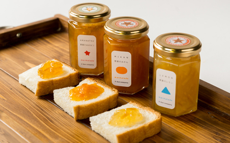 みかんジュースとマーマレードのセット【D18-2】【1491446】
