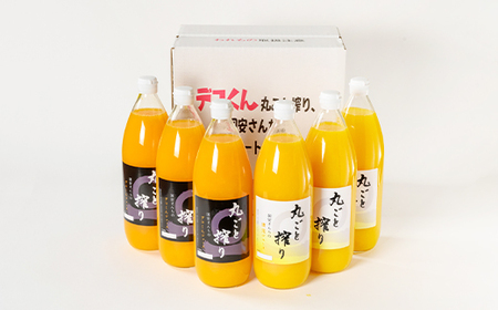 国安さんちの柑橘100%ストレートジュース【C20-1】【1094580】