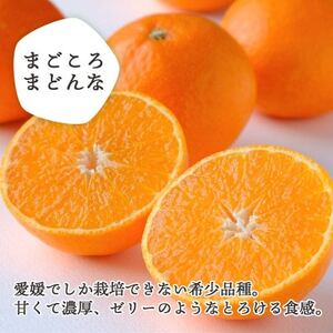 愛媛限定柑橘をセットに!愛媛みかん・まどんな食べ比べ 合計4kg【訳あり】【C25-118】【1419032】