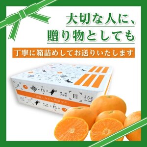 三代目がつくる高品質【頂みかん】5kg【C31-16】【1042516】