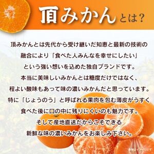 三代目の頂みかんTHEプレミアム【小玉サイズ】5kg【C31-19】_美味しいみかん 美味しいミカン おいしいみかん おいしいミカン 人気のみかん 人気のミカン 国産みかん 国産ミカン 八幡浜みかん 八幡浜ミカン 甘いみかん 甘いミカン あまいみかん アマイミカン 果物みかん くだものみかん 果物ミカン クダモノミカン 美味しい柑橘 美味しいカンキツ おいしい柑橘 おいしいカンキツ 人気の柑橘 人気のカンキツ 国産柑橘 国産カンキツ 八幡浜柑橘 八幡浜カンキツ 甘い柑橘 甘いカンキツ あまい柑橘 アマイカンキツ 果物柑橘 くだもの柑橘 果物カンキツ クダモノカンキツ 美味しい愛媛 美味しいエヒメ おいしい愛媛 おいしいエヒメ 人気の愛媛 人気のエヒメ 国産愛媛 国産エヒメ 八幡浜愛媛 八幡浜エヒメ 甘い愛媛 甘いエヒメ あまい愛媛 アマイエヒメ 果物愛媛 くだもの愛媛 果物エヒメ クダモノエヒメ _【1088576】