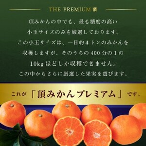 三代目の頂みかんTHEプレミアム【小玉サイズ】5kg【C31-19】_美味しいみかん 美味しいミカン おいしいみかん おいしいミカン 人気のみかん 人気のミカン 国産みかん 国産ミカン 八幡浜みかん 八幡浜ミカン 甘いみかん 甘いミカン あまいみかん アマイミカン 果物みかん くだものみかん 果物ミカン クダモノミカン 美味しい柑橘 美味しいカンキツ おいしい柑橘 おいしいカンキツ 人気の柑橘 人気のカンキツ 国産柑橘 国産カンキツ 八幡浜柑橘 八幡浜カンキツ 甘い柑橘 甘いカンキツ あまい柑橘 アマイカンキツ 果物柑橘 くだもの柑橘 果物カンキツ クダモノカンキツ 美味しい愛媛 美味しいエヒメ おいしい愛媛 おいしいエヒメ 人気の愛媛 人気のエヒメ 国産愛媛 国産エヒメ 八幡浜愛媛 八幡浜エヒメ 甘い愛媛 甘いエヒメ あまい愛媛 アマイエヒメ 果物愛媛 くだもの愛媛 果物エヒメ クダモノエヒメ _【1088576】