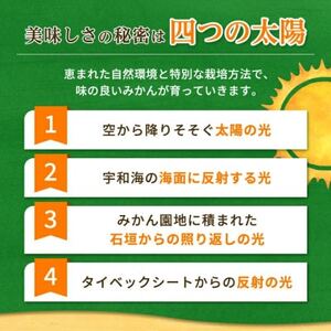 三代目の頂みかんTHEプレミアム【小玉サイズ】5kg【C31-19】_美味しいみかん 美味しいミカン おいしいみかん おいしいミカン 人気のみかん 人気のミカン 国産みかん 国産ミカン 八幡浜みかん 八幡浜ミカン 甘いみかん 甘いミカン あまいみかん アマイミカン 果物みかん くだものみかん 果物ミカン クダモノミカン 美味しい柑橘 美味しいカンキツ おいしい柑橘 おいしいカンキツ 人気の柑橘 人気のカンキツ 国産柑橘 国産カンキツ 八幡浜柑橘 八幡浜カンキツ 甘い柑橘 甘いカンキツ あまい柑橘 アマイカンキツ 果物柑橘 くだもの柑橘 果物カンキツ クダモノカンキツ 美味しい愛媛 美味しいエヒメ おいしい愛媛 おいしいエヒメ 人気の愛媛 人気のエヒメ 国産愛媛 国産エヒメ 八幡浜愛媛 八幡浜エヒメ 甘い愛媛 甘いエヒメ あまい愛媛 アマイエヒメ 果物愛媛 くだもの愛媛 果物エヒメ クダモノエヒメ _【1088576】