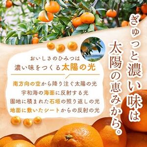 三代目がつくる愛媛みかん 7.5kg【訳あり(家庭用)】【D31-17】【1120067】