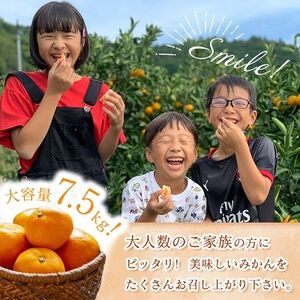 三代目がつくる愛媛みかん 7.5kg【訳あり(家庭用)】【D31-17】【1120067】