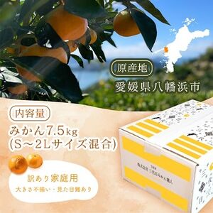 三代目がつくる愛媛みかん 7.5kg【訳あり(家庭用)】【D31-17】【1120067】