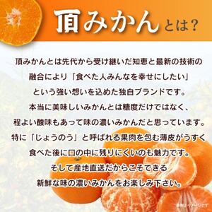 三代目の頂みかんTHEプレミアム【小玉サイズ】3kg【C31-32】_美味しいみかん 美味しいミカン おいしいみかん おいしいミカン 人気のみかん 人気のミカン 国産みかん 国産ミカン 八幡浜みかん 八幡浜ミカン 甘いみかん 甘いミカン あまいみかん アマイミカン 果物みかん くだものみかん 果物ミカン クダモノミカン 美味しい柑橘 美味しいカンキツ おいしい柑橘 おいしいカンキツ 人気の柑橘 人気のカンキツ 国産柑橘 国産カンキツ 八幡浜柑橘 八幡浜カンキツ 甘い柑橘 甘いカンキツ あまい柑橘 アマイカンキツ 果物柑橘 くだもの柑橘 果物カンキツ クダモノカンキツ 美味しい愛媛 美味しいエヒメ おいしい愛媛 おいしいエヒメ 人気の愛媛 人気のエヒメ 国産愛媛 国産エヒメ 八幡浜愛媛 八幡浜エヒメ 甘い愛媛 甘いエヒメ あまい愛媛 アマイエヒメ 果物愛媛 くだもの愛媛 果物エヒメ クダモノエヒメ _【1424406】