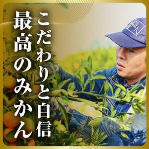 三代目の頂みかんTHEプレミアム【小玉サイズ】3kg【C31-32】【1424406】