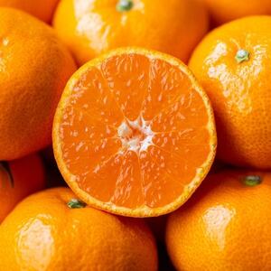 【愛媛名産】玉宝みかん【雫・・小玉】(5kg)【D64-2】【1340914】