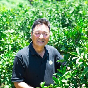 【愛媛名産】玉宝みかん【雫・・小玉】(5kg)【D64-2】【1340914】