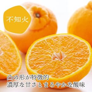 デコポンと同品種 愛媛のおいしい柑橘 不知火寒天ゼリーセット 8本【C25-28】【1502295】