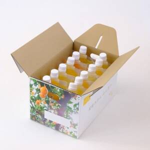 人気品種食べ比べ!みかん寒天ゼリーオールスター12本セット ミヤモトオレンジガーデン【D25-20】【1503231】