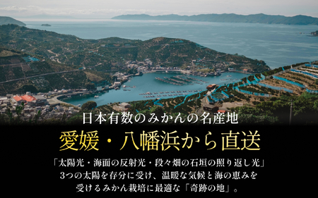 【太陽の恵みがギュッと凝縮】愛媛みかん10kg【小玉】農家直送 愛媛県川上産【F70-5】【1440741】