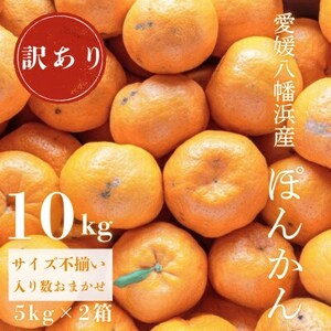 国安さんちの愛媛ポンカン10kg【訳あり】【C20-13】【1094582】