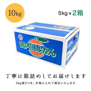 【爽やか香りと柔らかジューシーな果肉】愛媛八幡浜産 訳あり 宮内伊予柑 10kg【D20-16】【1094592】