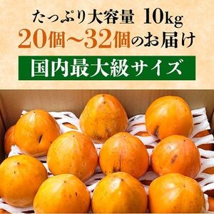 国安さんちの富士柿10kg【訳あり】【C20-22】【1094601】