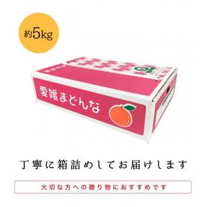 産地直送 国安さんちの愛媛まどんな 贈答用 約5kg 【F20-31】_美味しいみかん 美味しいミカン おいしいみかん おいしいミカン 人気のみかん 人気のミカン 国産みかん 国産ミカン 八幡浜みかん 八幡浜ミカン 甘いみかん 甘いミカン あまいみかん アマイミカン 果物みかん くだものみかん 果物ミカン クダモノミカン 美味しいまどんな 美味しいマドンナ おいしいまどんな おいしいマドンナ 人気のまどんな 人気のマドンナ 国産まどんな 国産マドンナ 八幡浜まどんな 八幡浜マドンナ 甘いまどんな 甘いマドンナ あまいまどんな アマイマドンナ 果物まどんな くだものまどんな 果物マドンナ クダモノマドンナ 美味しい柑橘 美味しいカンキツ おいしい柑橘 おいしいカンキツ 人気の柑橘 人気のカンキツ 国産柑橘 国産カンキツ 八幡浜柑橘 八幡浜カンキツ 甘い柑橘 甘いカンキツ あまい柑橘 アマイカンキツ 果物柑橘 くだもの柑橘 果物カンキツ クダモノカンキツ_【1340000】