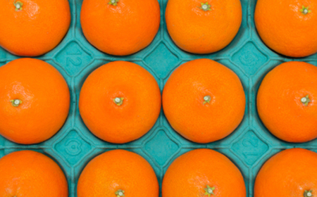 柑橘の鬼たちがつくる八幡浜産・鬼マドンナ(2.7kg～3.0kg)[贈答用]【E56-16】【配送不可地域：離島】【1250206】