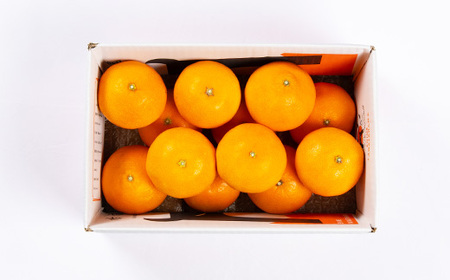 柑橘の鬼たちがつくる八幡浜産・鬼 マドンナ (2.7kg～3.0kg)[ 傷あり ]【E56-33】【配送不可地域：離島・北海道・沖縄県】【1360891】