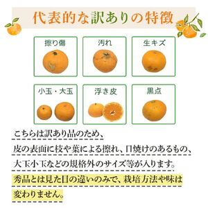 【訳あり】紅まどんなと同品種! 愛媛限定栽培柑橘 愛媛果試28号 3.5kg【C25-133】【1166250】