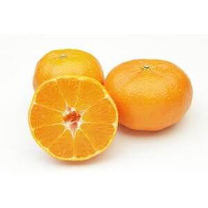 柑橘の鬼たちがつくる八幡浜産・甘平(2.7kg～3.0kg)[贈答用]【E56-22】【1270403】