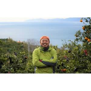 柑橘の鬼たちがつくる八幡浜産・甘平(2.7kg～3.0kg)[贈答用]【E56-22】【1270403】