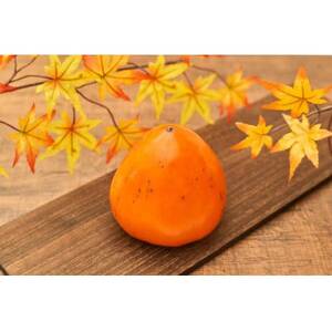 目利きのプロが選ぶ　訳あり富士柿10kg【E56-38】【1452169】