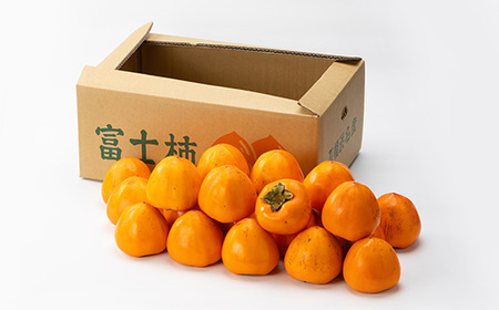 【2026年発送】目利きのプロが選ぶ 訳あり富士柿10kg【E56-38】【1452169】