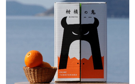 八幡浜産・不知火10kg【訳あり】【E56-40】【配送不可地域:離島】【1479305】