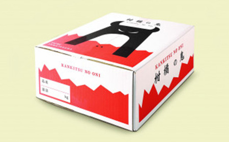 八幡浜産・不知火10kg【訳あり】【E56-40】【配送不可地域:離島】【1479305】