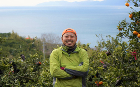 八幡浜産・不知火10kg【訳あり】【E56-40】【配送不可地域:離島】【1479305】