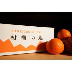 八幡浜産・ネーブル10kg【訳あり】【D56-44】【配送不可地域:離島】【1479309】